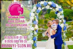 Проведение выездных регистраций брака в Солнечногорске 0609